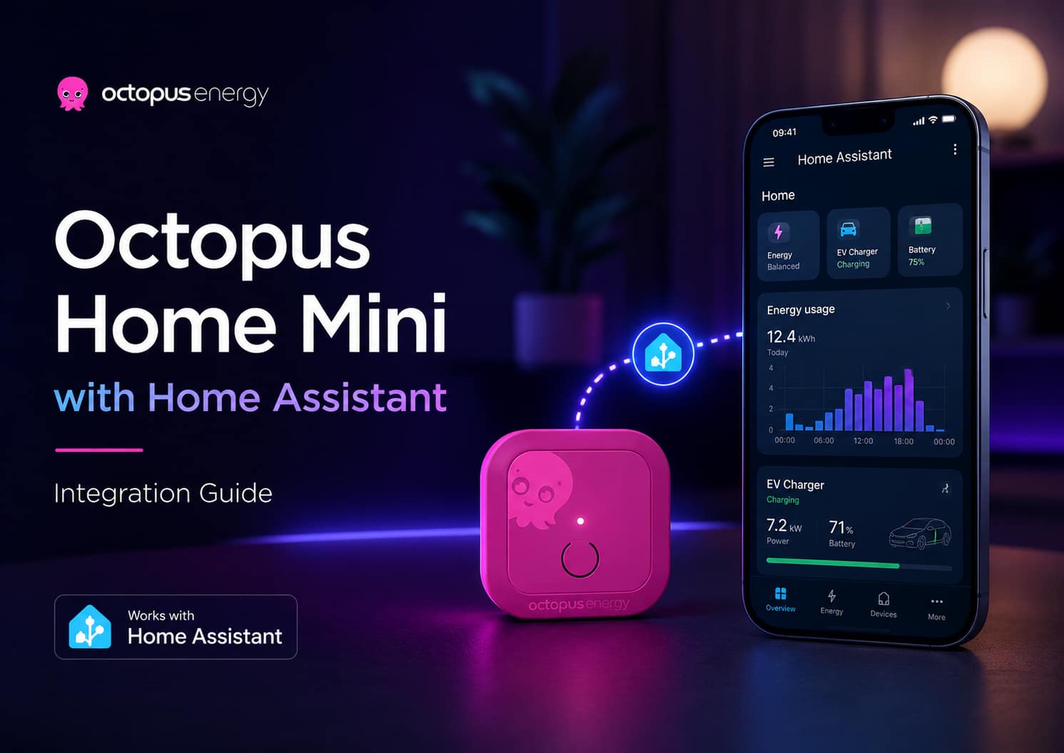 How to Integrate the Octopus Home Mini with Home Assistant Guide