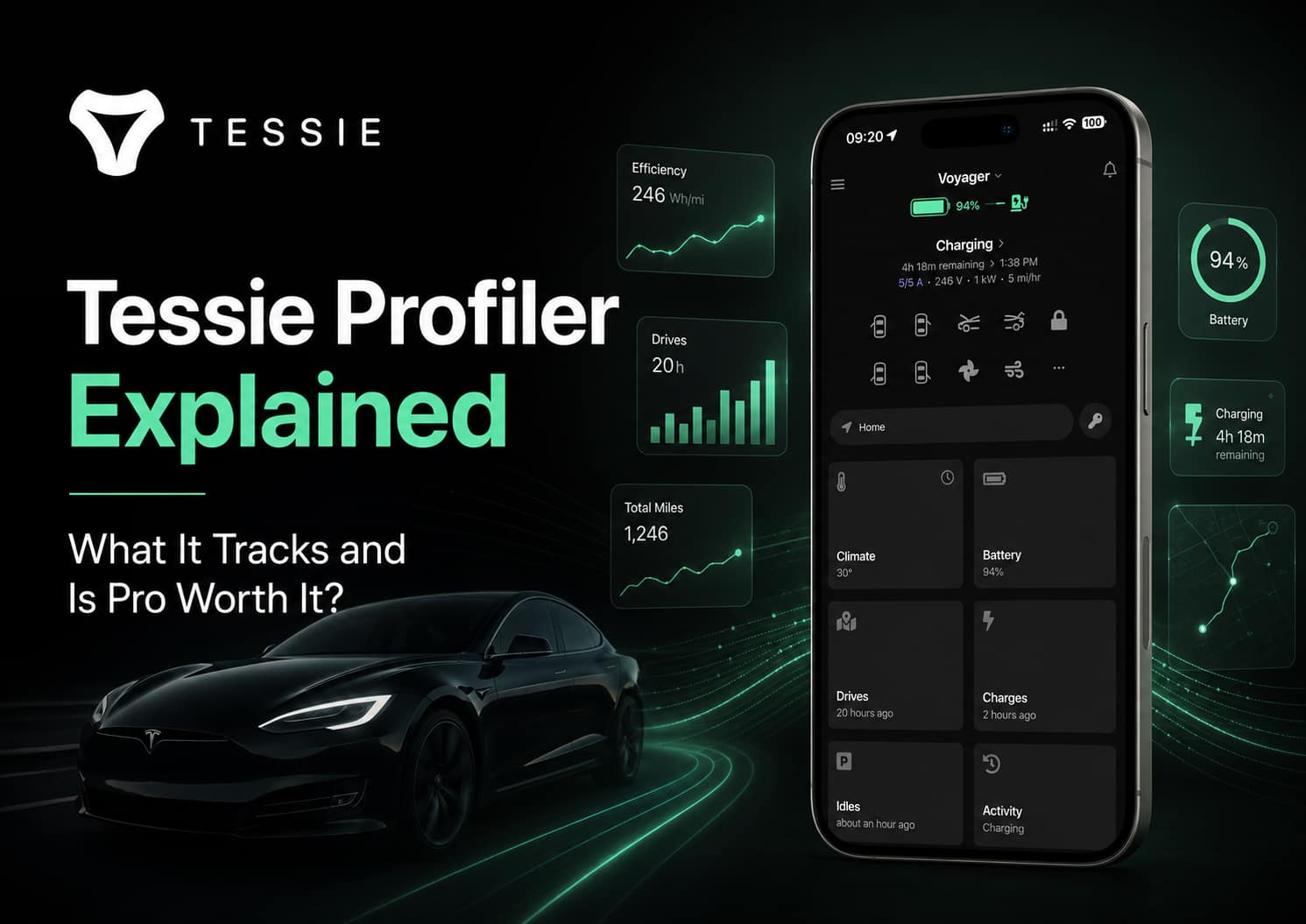 Tessie Profiler Explained What It Tracks and Is Pro Worth It